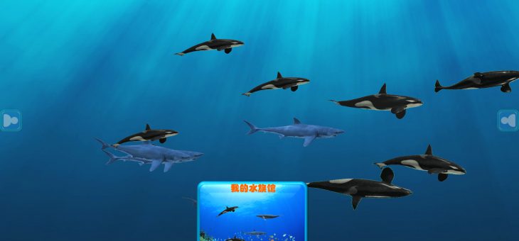 Kindergarten Courses – General Courses – Puzzle Games 1, Underwater Worlds – Whales